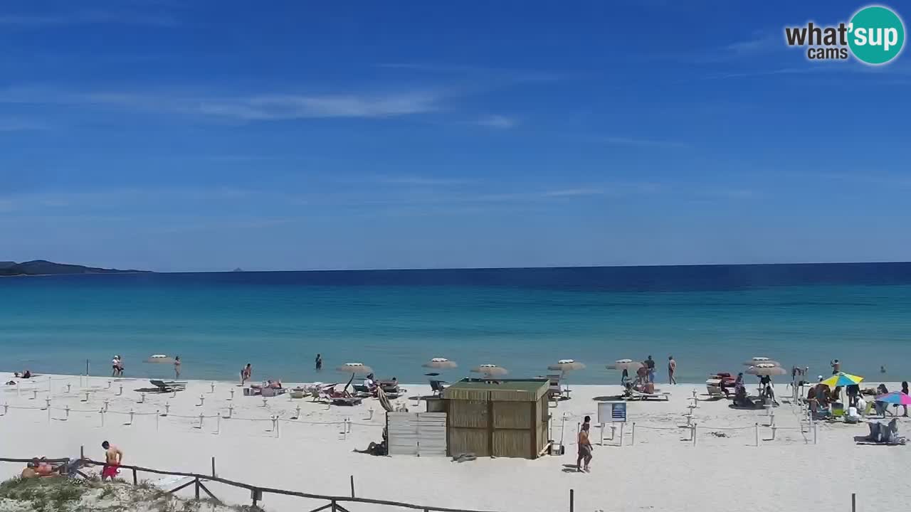 Beach de L’Isuledda – San Teodoro (OT) – Sardinia