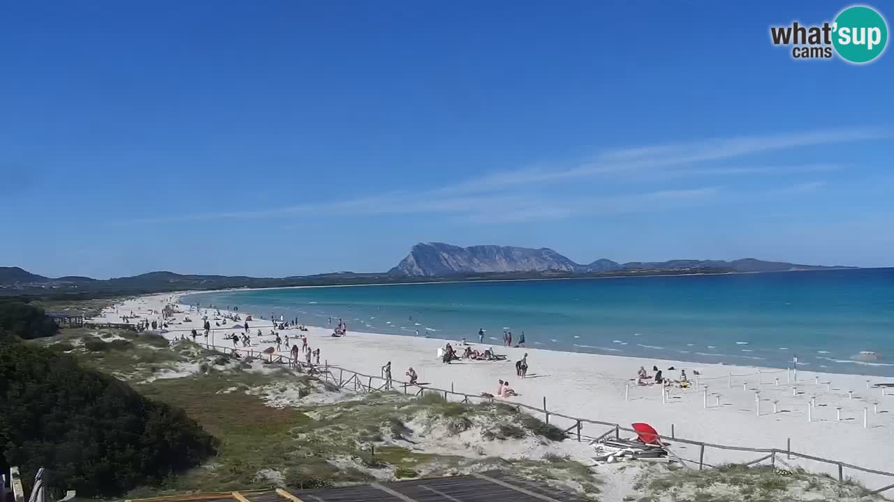 Webcam La Cinta spiaggia di San Teodoro (OT) – Sardegna