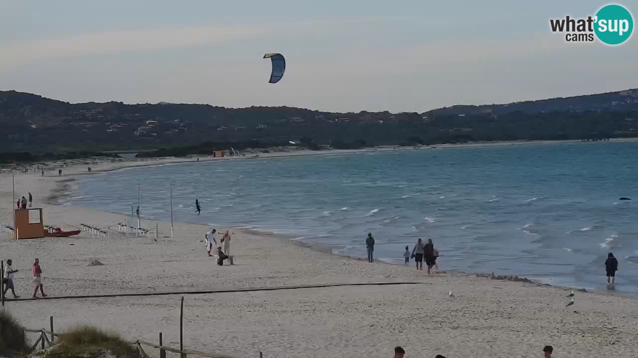 Strand de L’Isuledda – San Teodoro (OT) – Sardinien