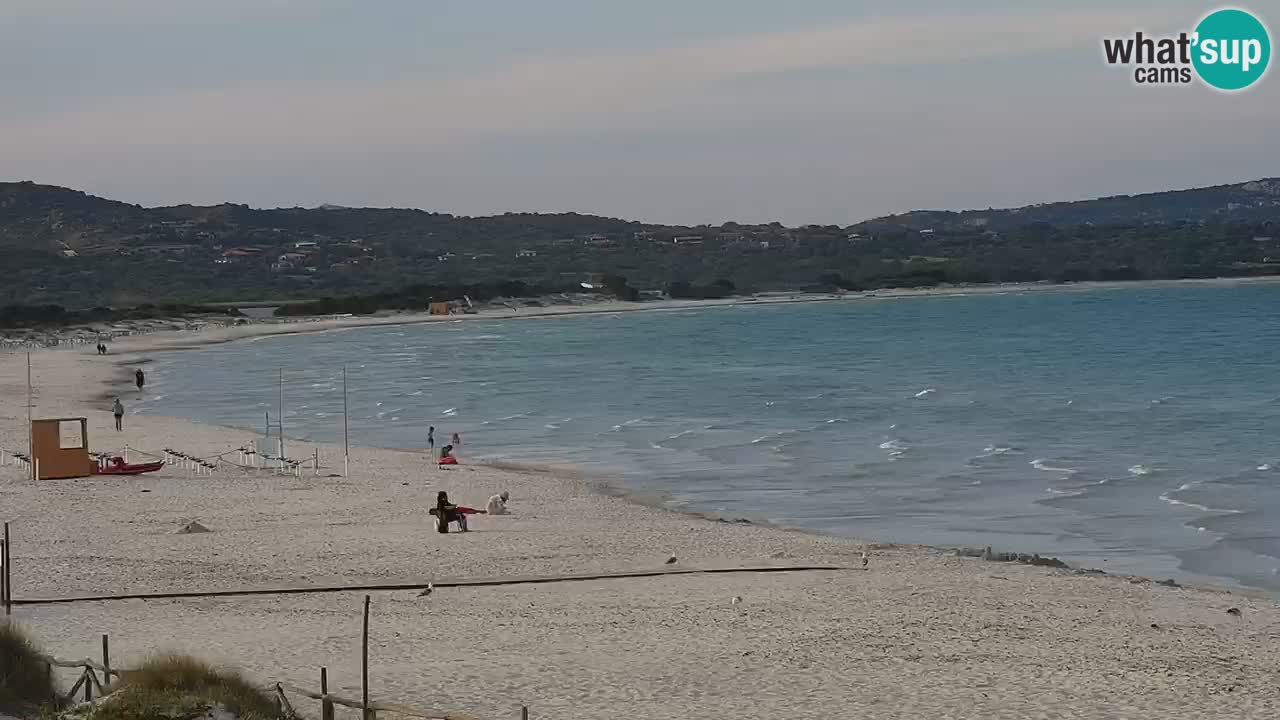 Strand de L’Isuledda – San Teodoro (OT) – Sardinien