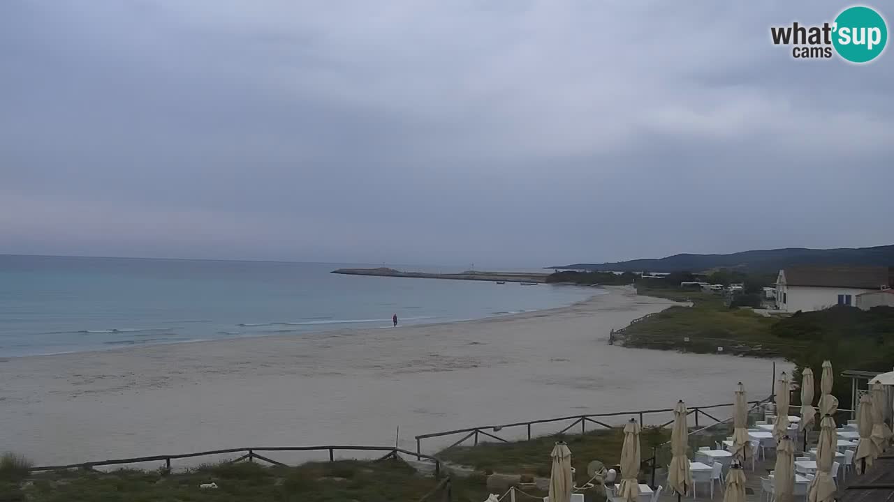 Plage de L’Isuledda – San Teodoro (OT) – Sardaigne