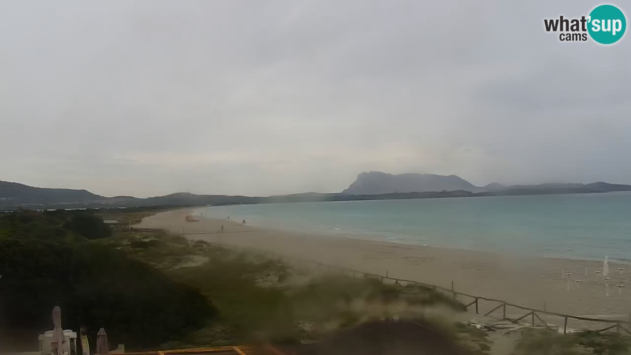 Strand de L’Isuledda – San Teodoro (OT) – Sardinien