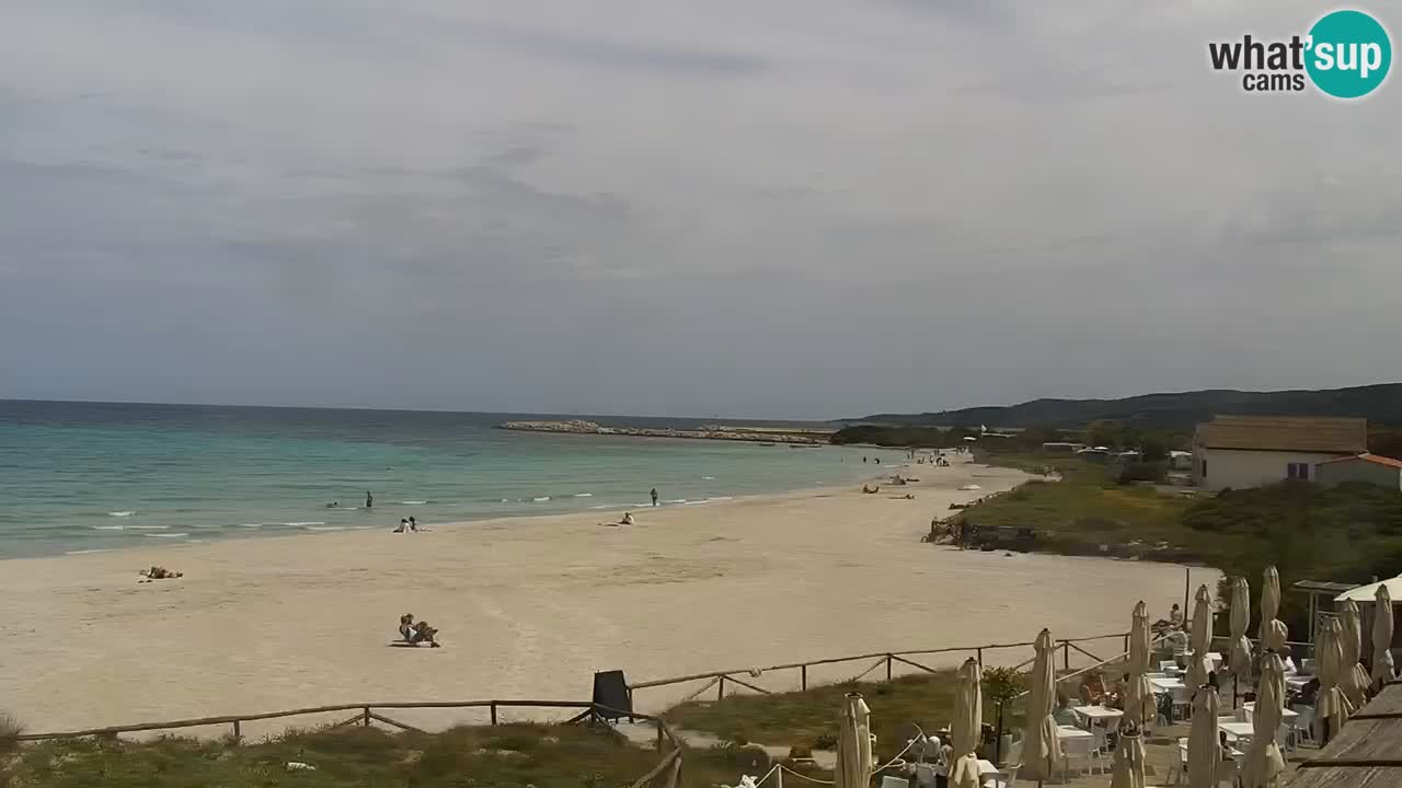 Strand de L’Isuledda – San Teodoro (OT) – Sardinien