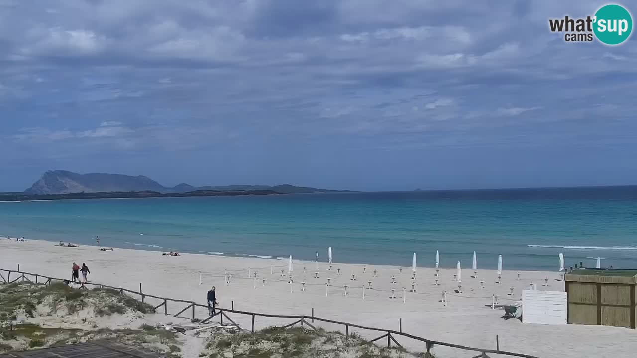Webcam La Cinta spiaggia di San Teodoro (OT) – Sardegna