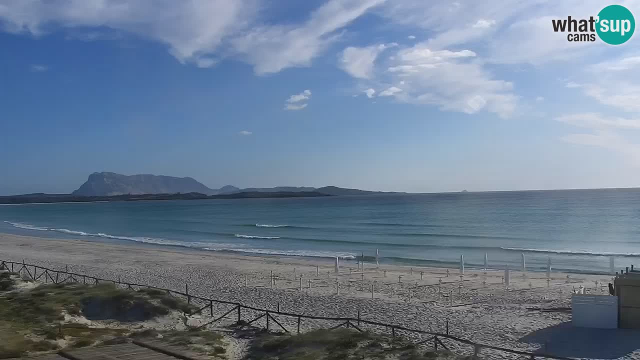 Playa de L’Isuledda – San Teodoro (OT) – Cerdeña