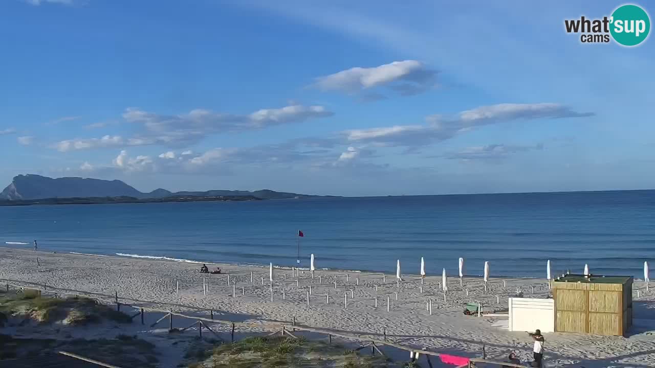 Beach de L’Isuledda – San Teodoro (OT) – Sardinia