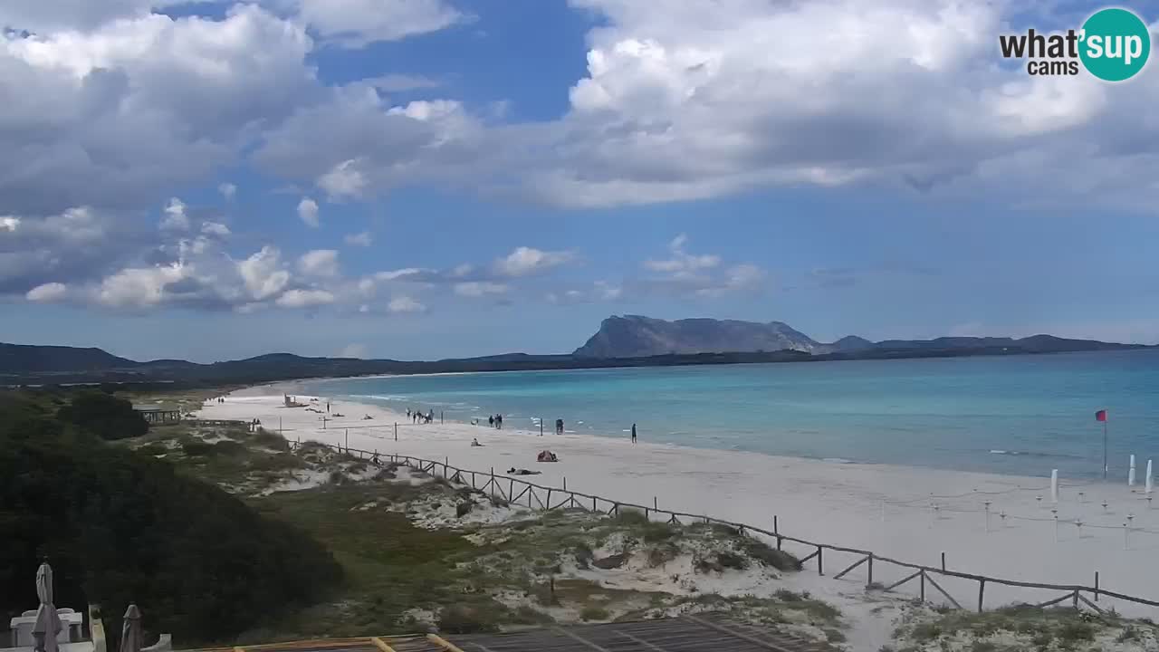 Webcam La Cinta spiaggia di San Teodoro (OT) – Sardegna