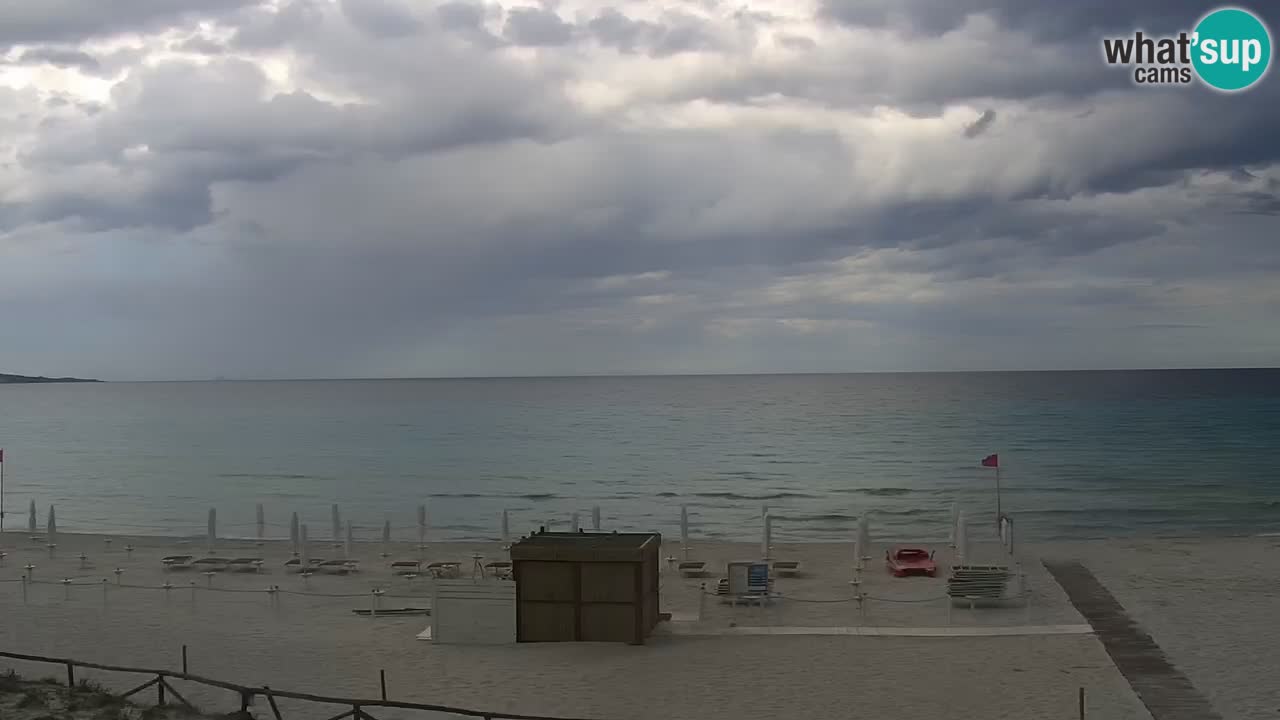 Beach de L’Isuledda – San Teodoro (OT) – Sardinia