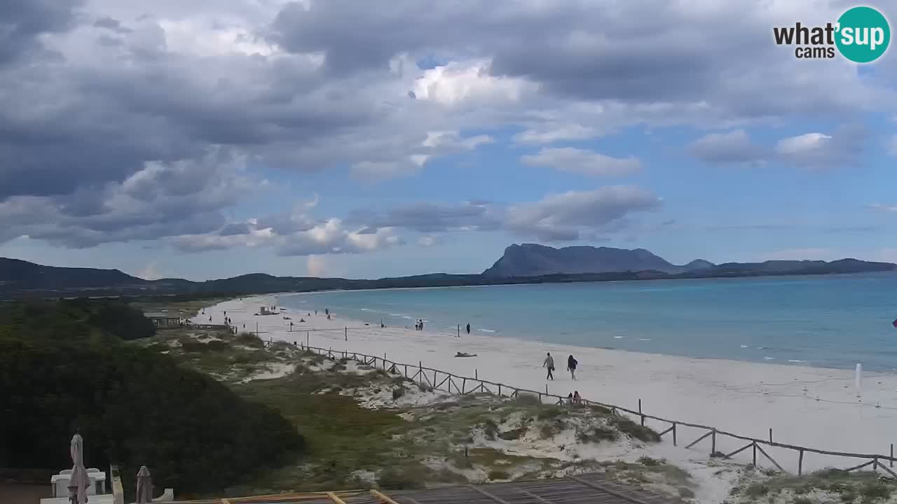 Strand de L’Isuledda – San Teodoro (OT) – Sardinien