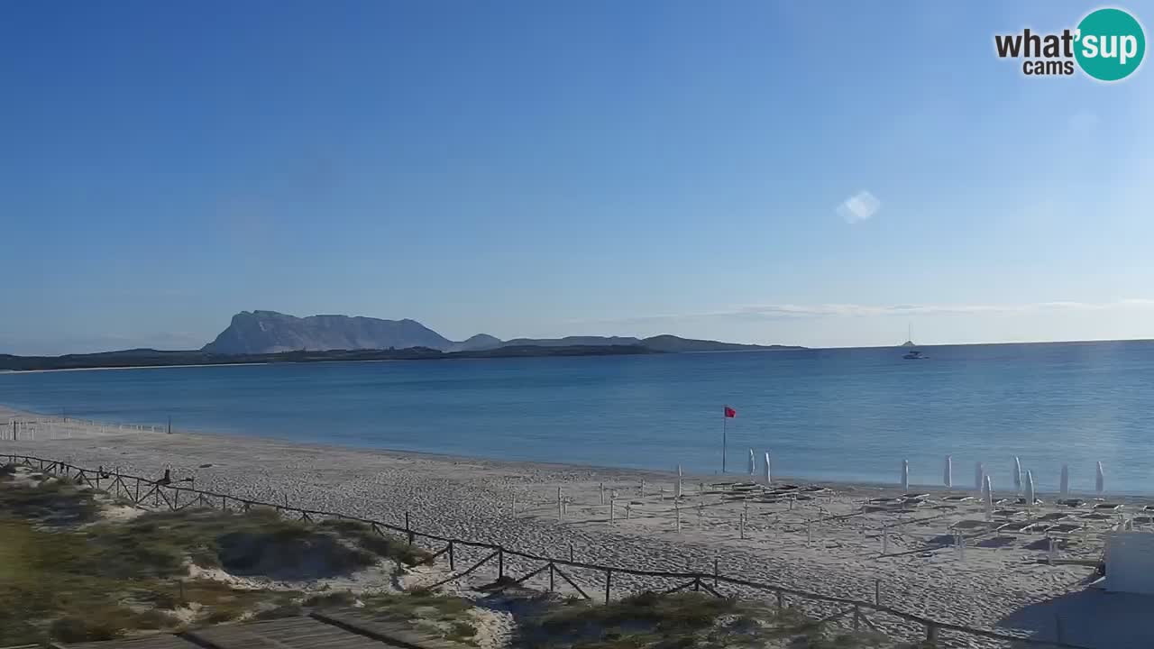 Beach de L’Isuledda – San Teodoro (OT) – Sardinia
