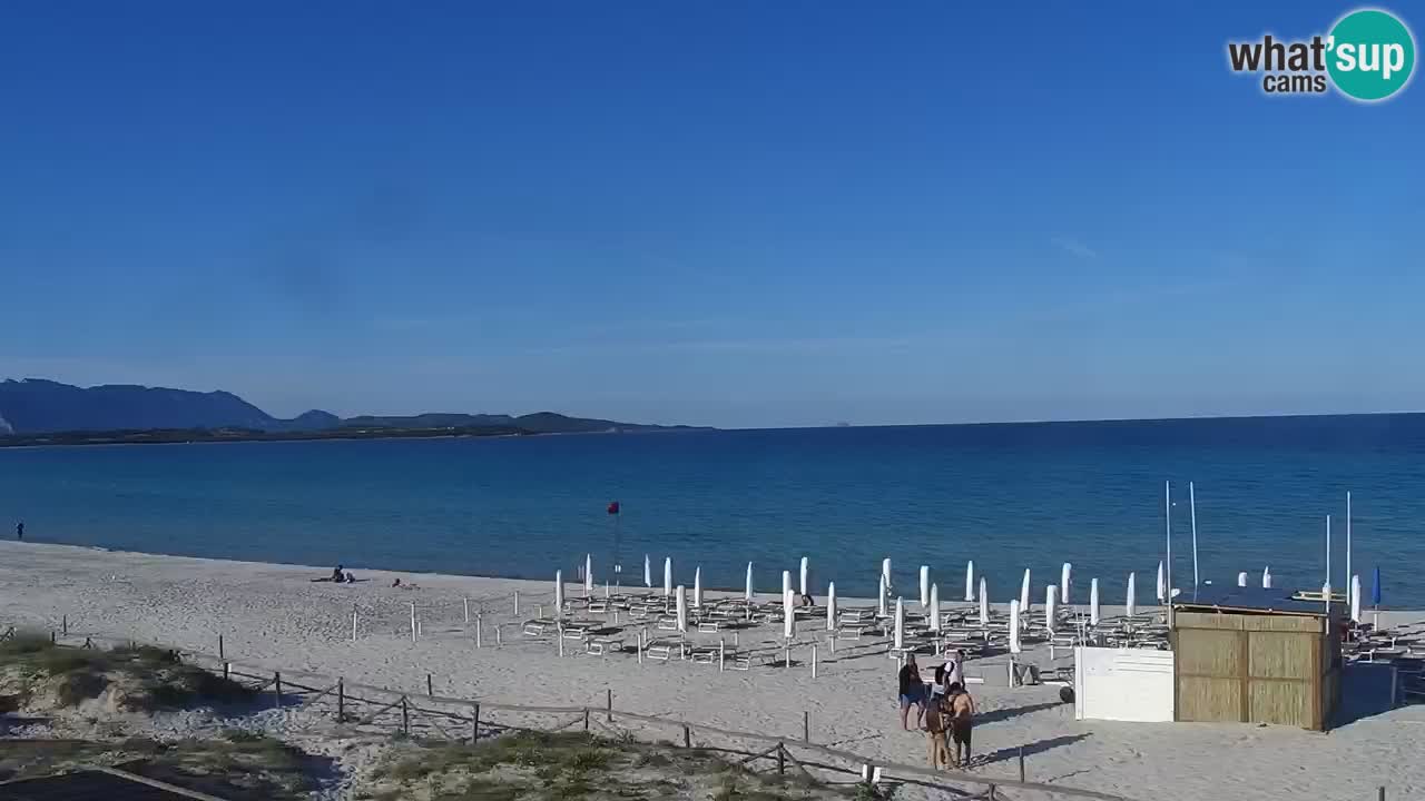 Beach de L’Isuledda – San Teodoro (OT) – Sardinia