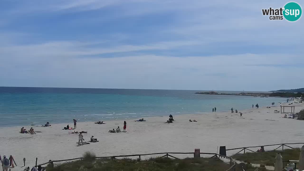 Beach de L’Isuledda – San Teodoro (OT) – Sardinia