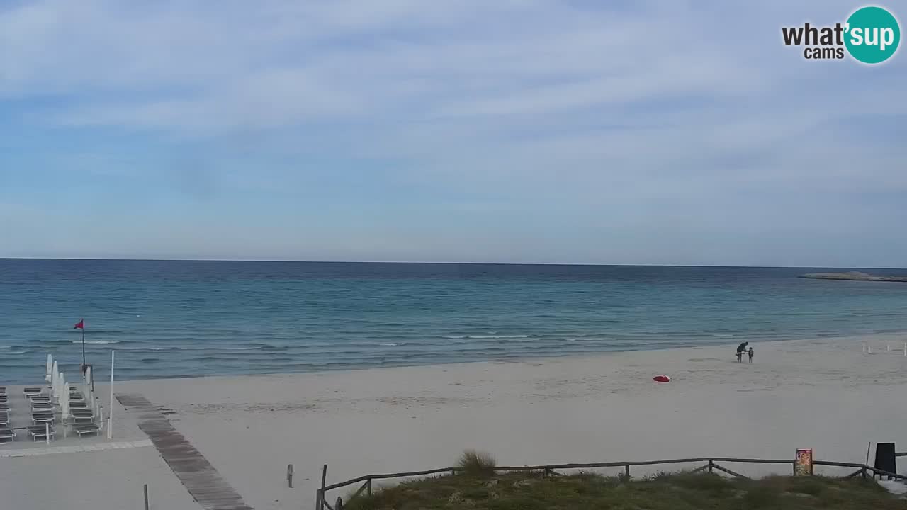 Strand de L’Isuledda – San Teodoro (OT) – Sardinien