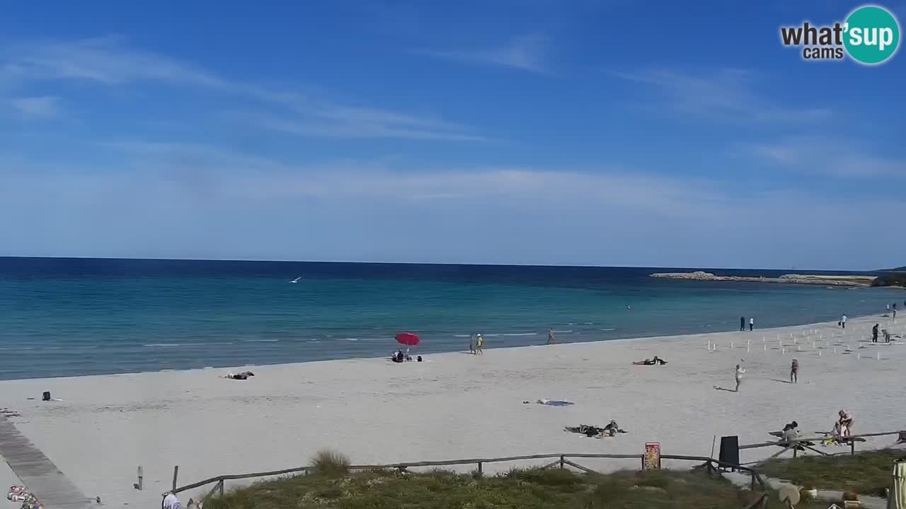 Beach de L’Isuledda – San Teodoro (OT) – Sardinia