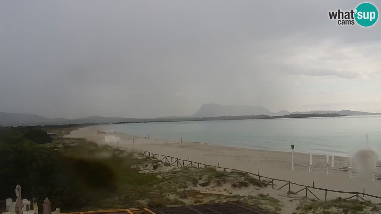 Plage de L’Isuledda – San Teodoro (OT) – Sardaigne