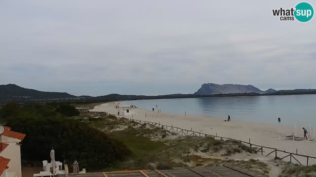 Webcam La Cinta spiaggia di San Teodoro (OT) – Sardegna