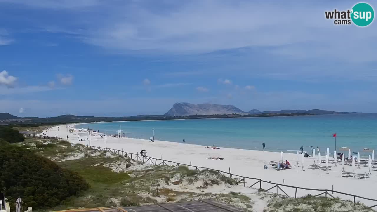 Plage de L’Isuledda – San Teodoro (OT) – Sardaigne
