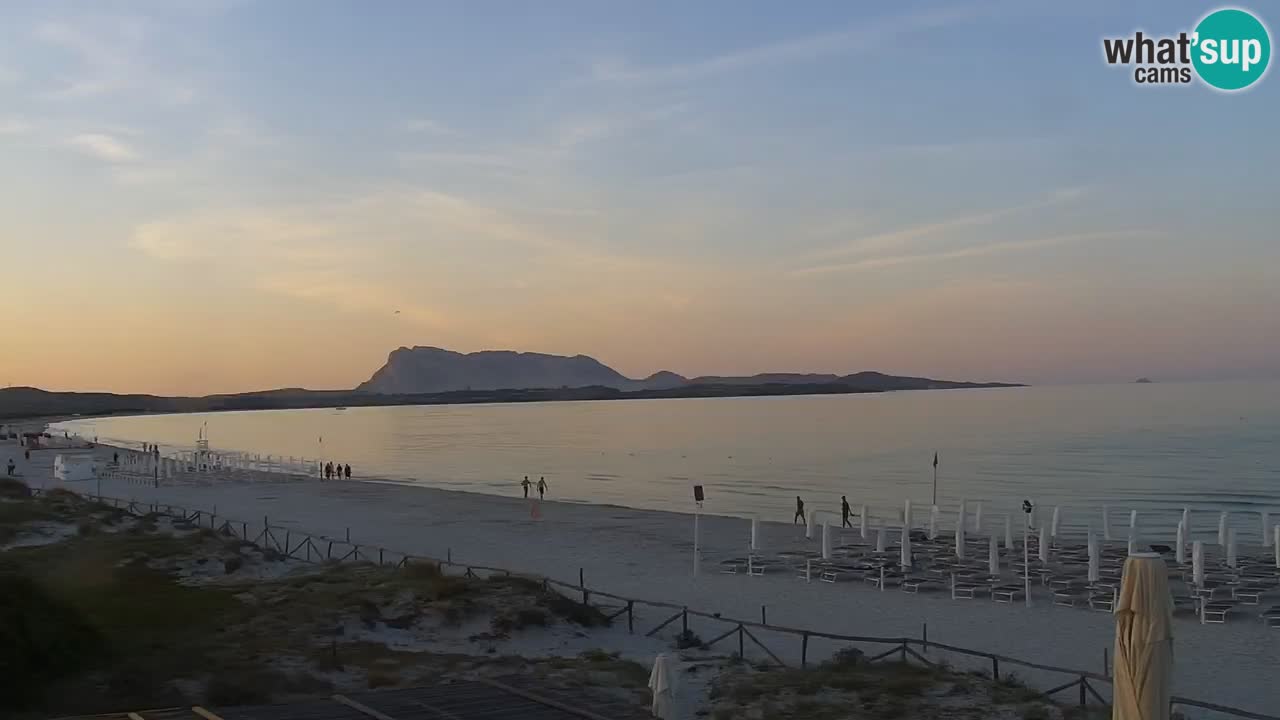 Beach de L’Isuledda – San Teodoro (OT) – Sardinia