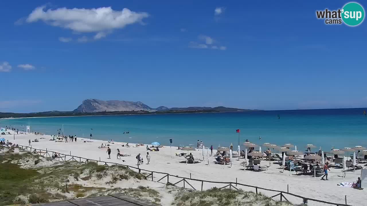 Beach de L’Isuledda – San Teodoro (OT) – Sardinia