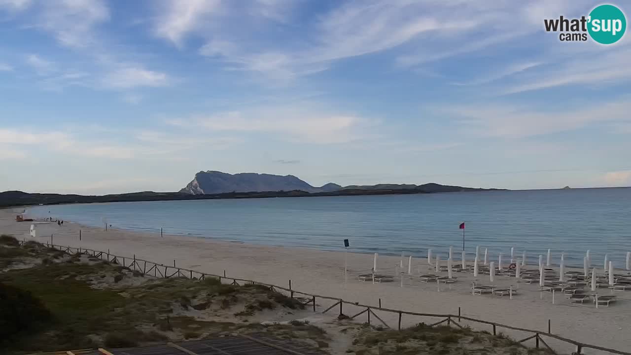 Plage de L’Isuledda – San Teodoro (OT) – Sardaigne