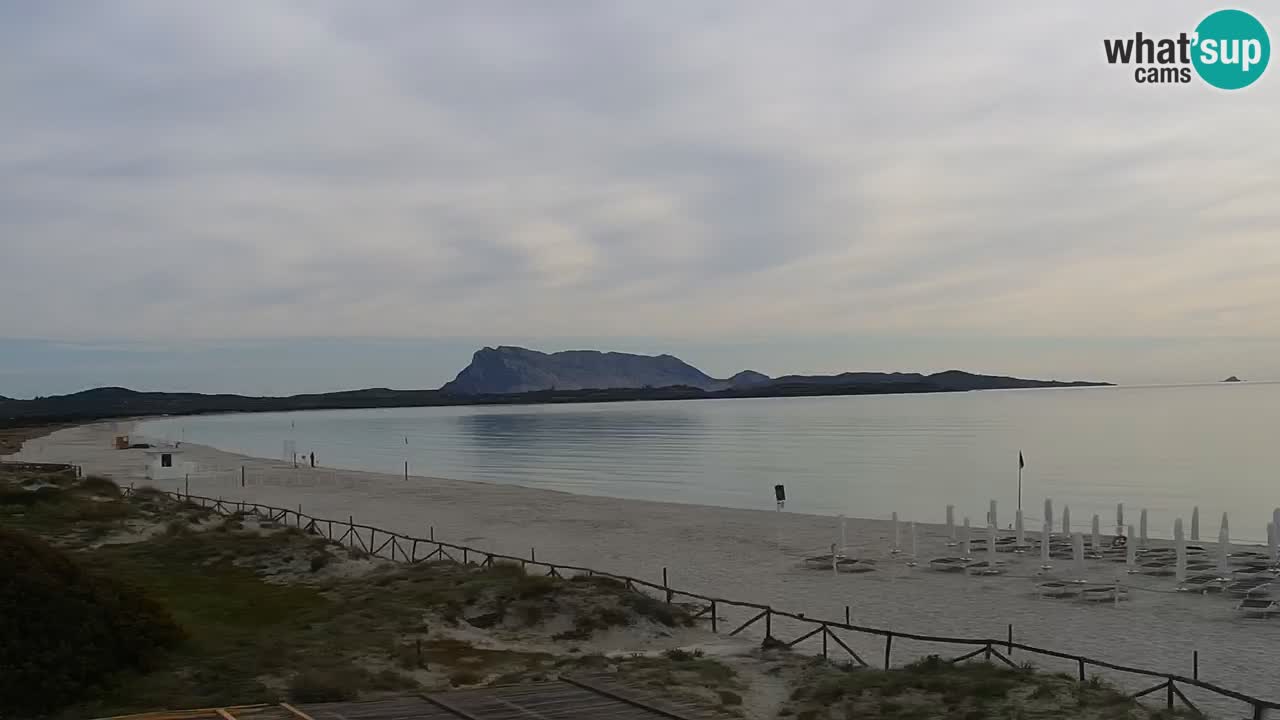 Plaža de L’Isuledda – San Teodoro (OT) – Sardinija
