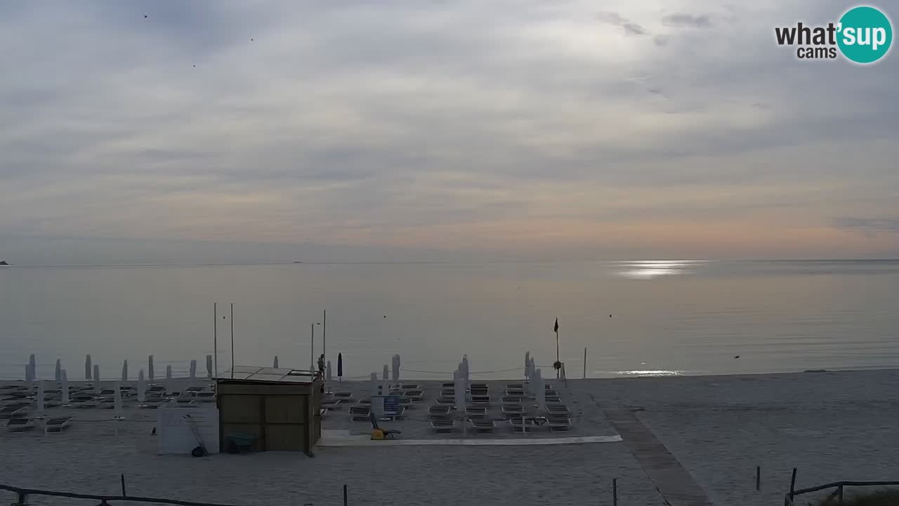 Beach de L’Isuledda – San Teodoro (OT) – Sardinia