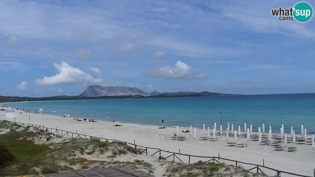 Beach de L’Isuledda – San Teodoro (OT) – Sardinia