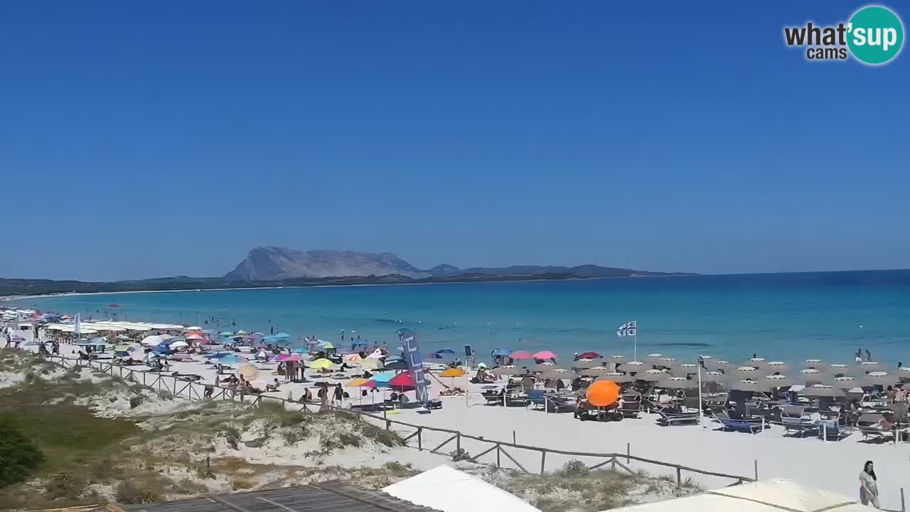 Strand de L’Isuledda – San Teodoro (OT) – Sardinien