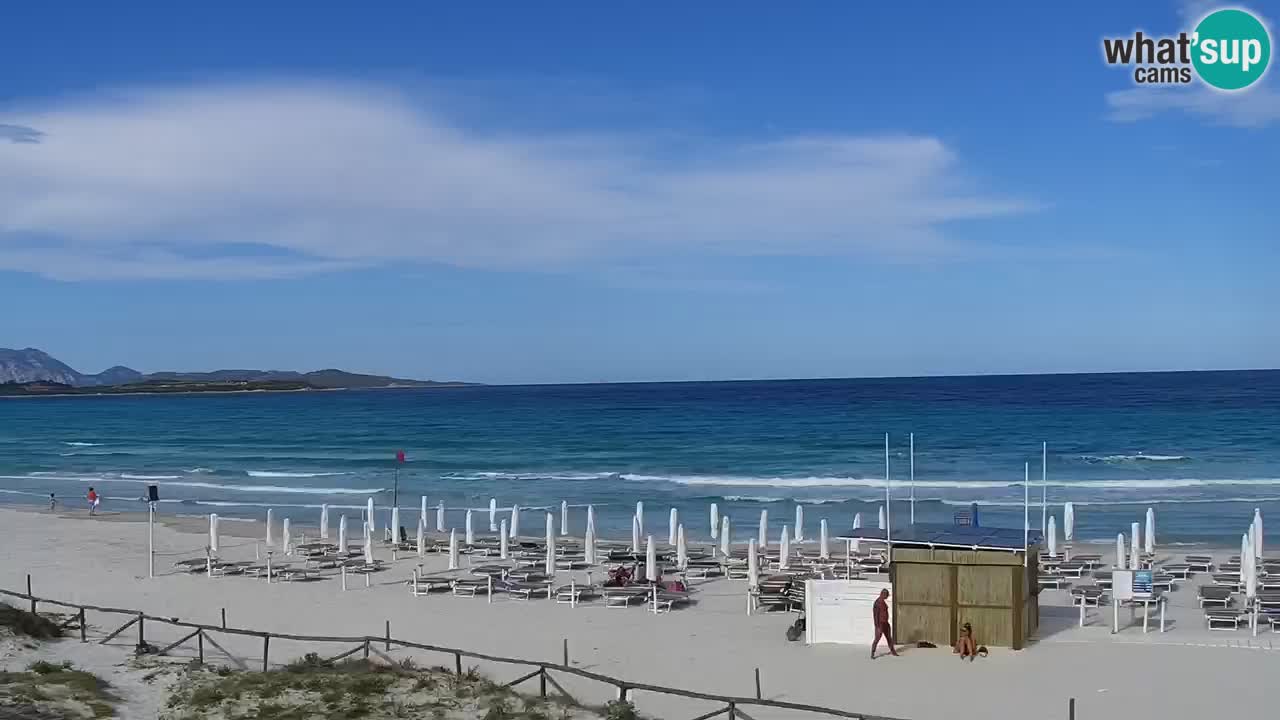 Beach de L’Isuledda – San Teodoro (OT) – Sardinia