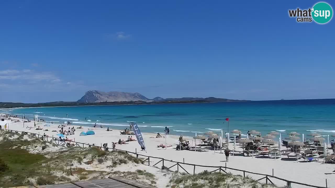 Playa de L’Isuledda – San Teodoro (OT) – Cerdeña