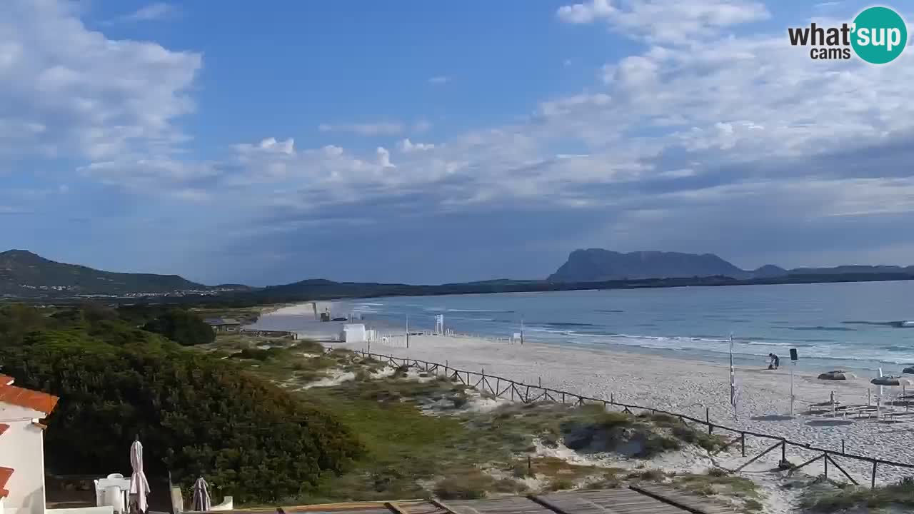 Beach de L’Isuledda – San Teodoro (OT) – Sardinia