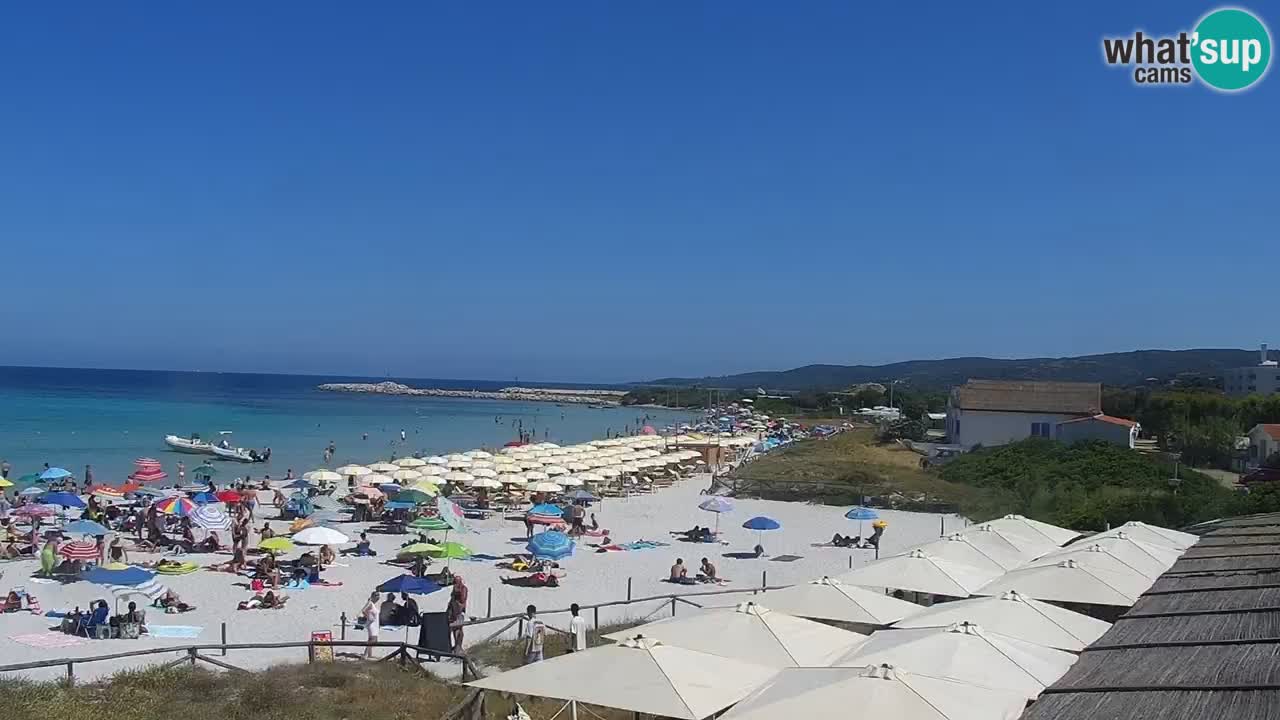 Beach de L’Isuledda – San Teodoro (OT) – Sardinia