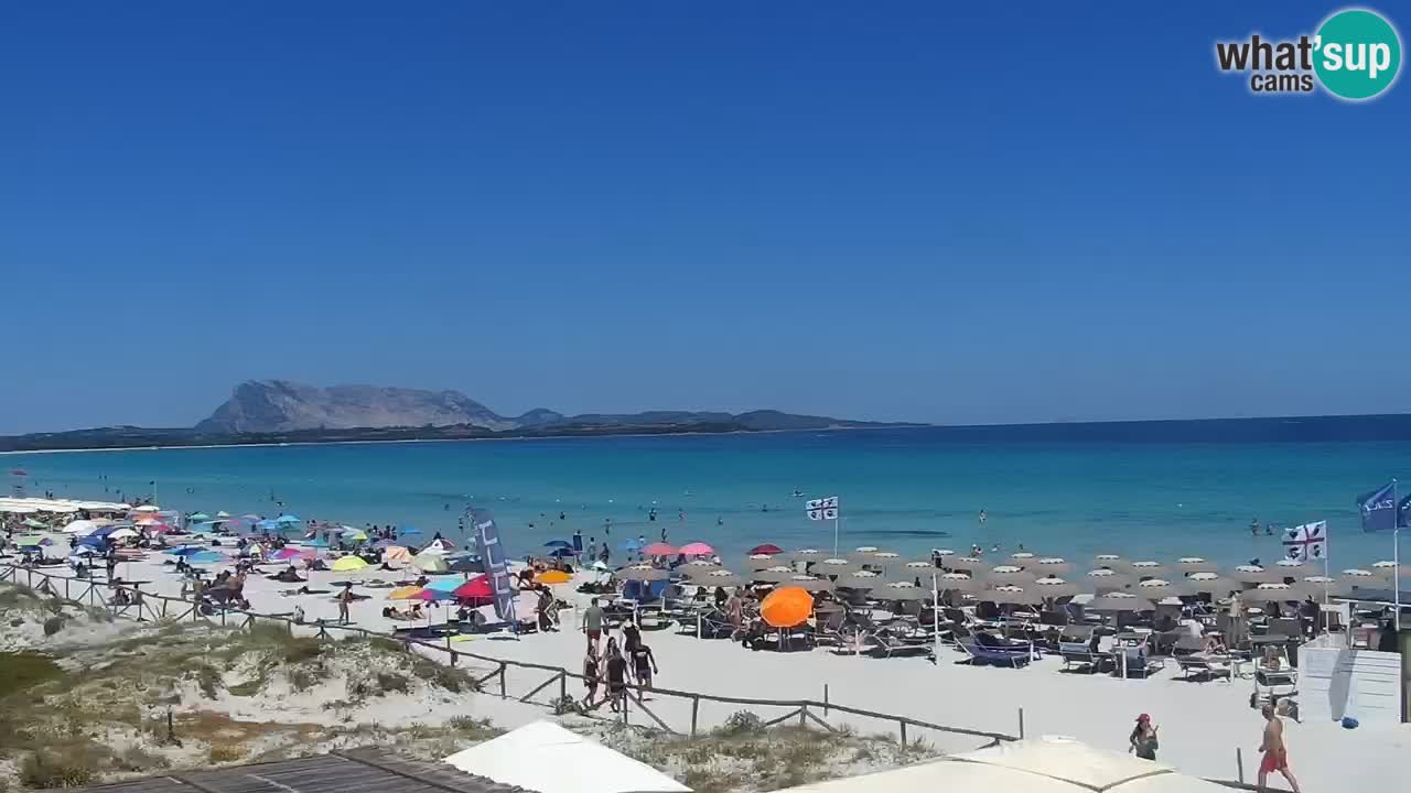 Beach de L’Isuledda – San Teodoro (OT) – Sardinia