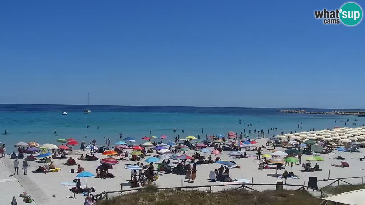 Beach de L’Isuledda – San Teodoro (OT) – Sardinia