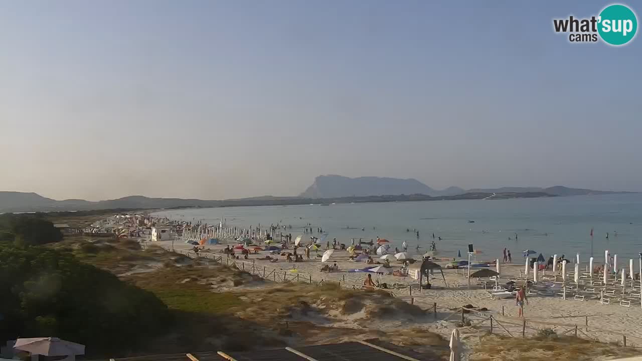 Beach de L’Isuledda – San Teodoro (OT) – Sardinia