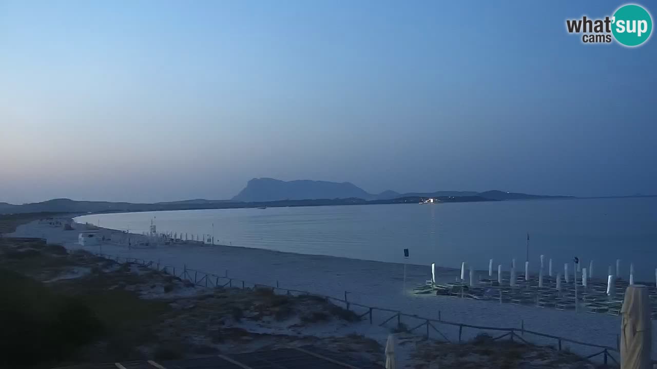 Strand de L’Isuledda – San Teodoro (OT) – Sardinien