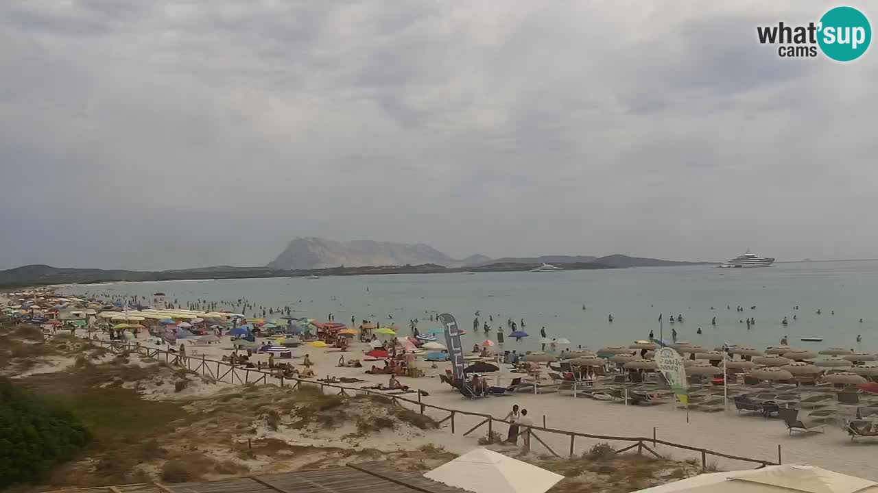 Beach de L’Isuledda – San Teodoro (OT) – Sardinia