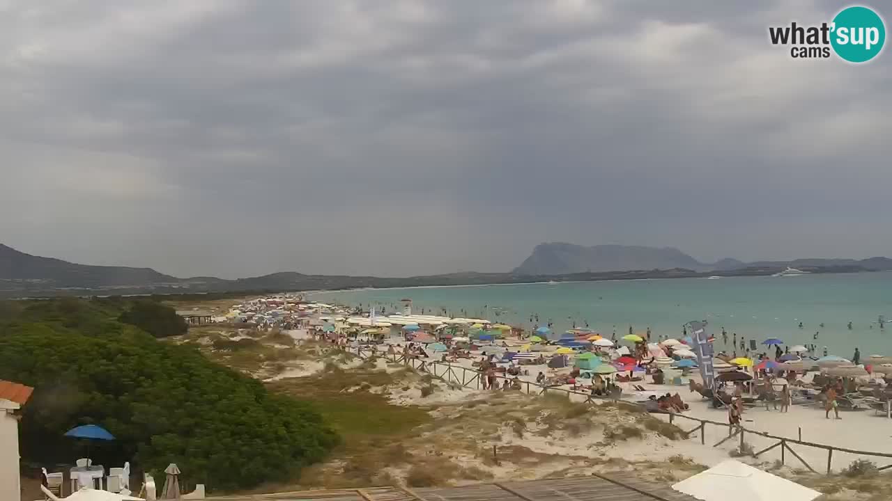 Playa de L’Isuledda – San Teodoro (OT) – Cerdeña