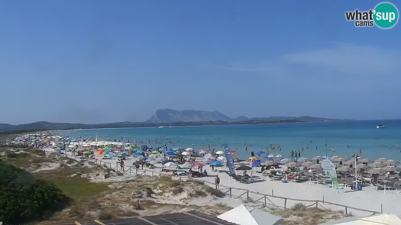 Strand de L’Isuledda – San Teodoro (OT) – Sardinien