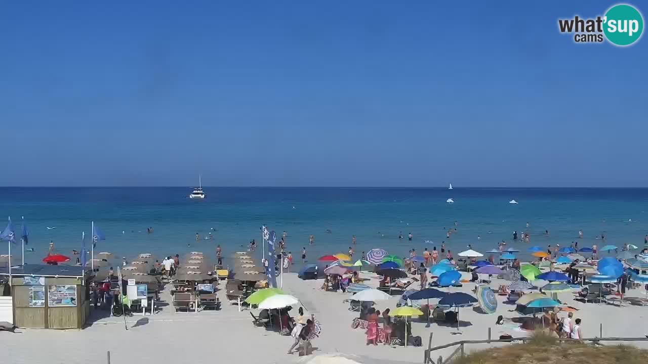 Strand de L’Isuledda – San Teodoro (OT) – Sardinien
