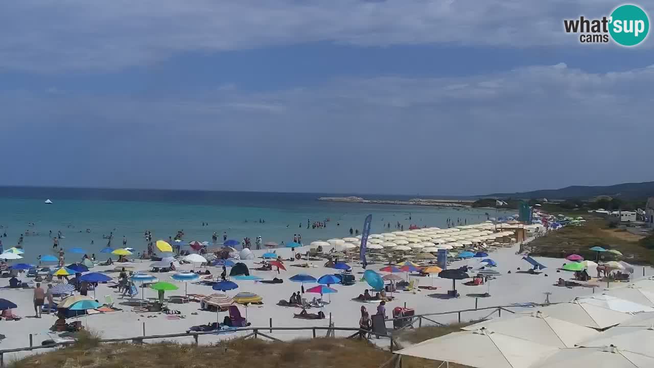 Plage de L’Isuledda – San Teodoro (OT) – Sardaigne