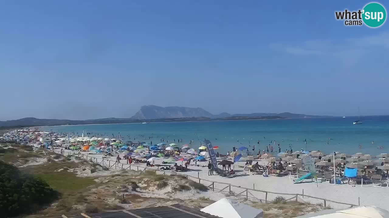 Plaža de L’Isuledda – San Teodoro (OT) – Sardinija
