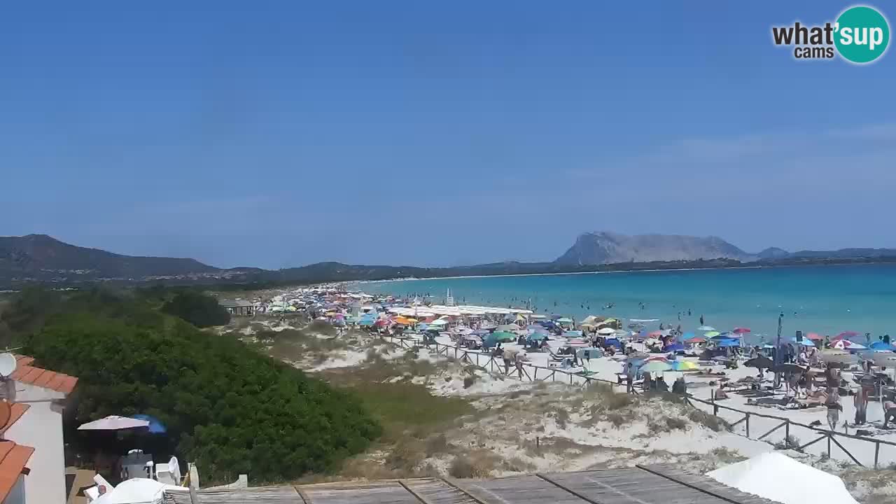 Beach de L’Isuledda – San Teodoro (OT) – Sardinia