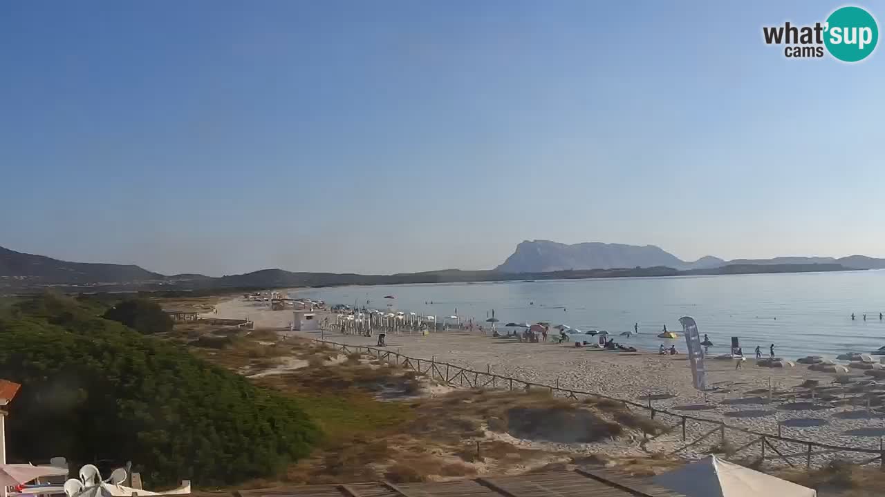 Beach de L’Isuledda – San Teodoro (OT) – Sardinia