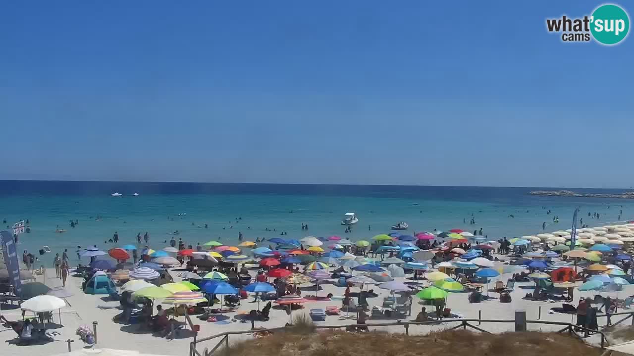 Beach de L’Isuledda – San Teodoro (OT) – Sardinia