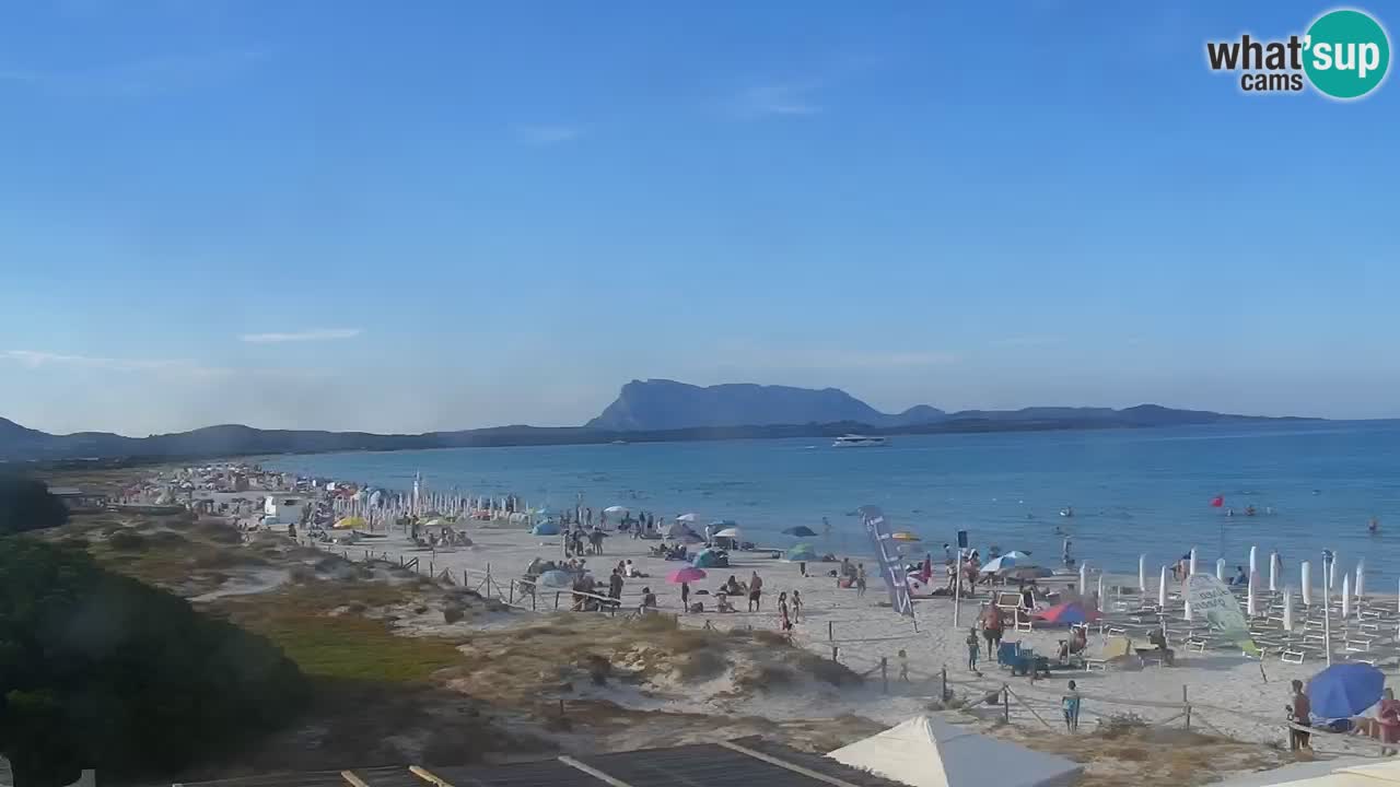Beach de L’Isuledda – San Teodoro (OT) – Sardinia