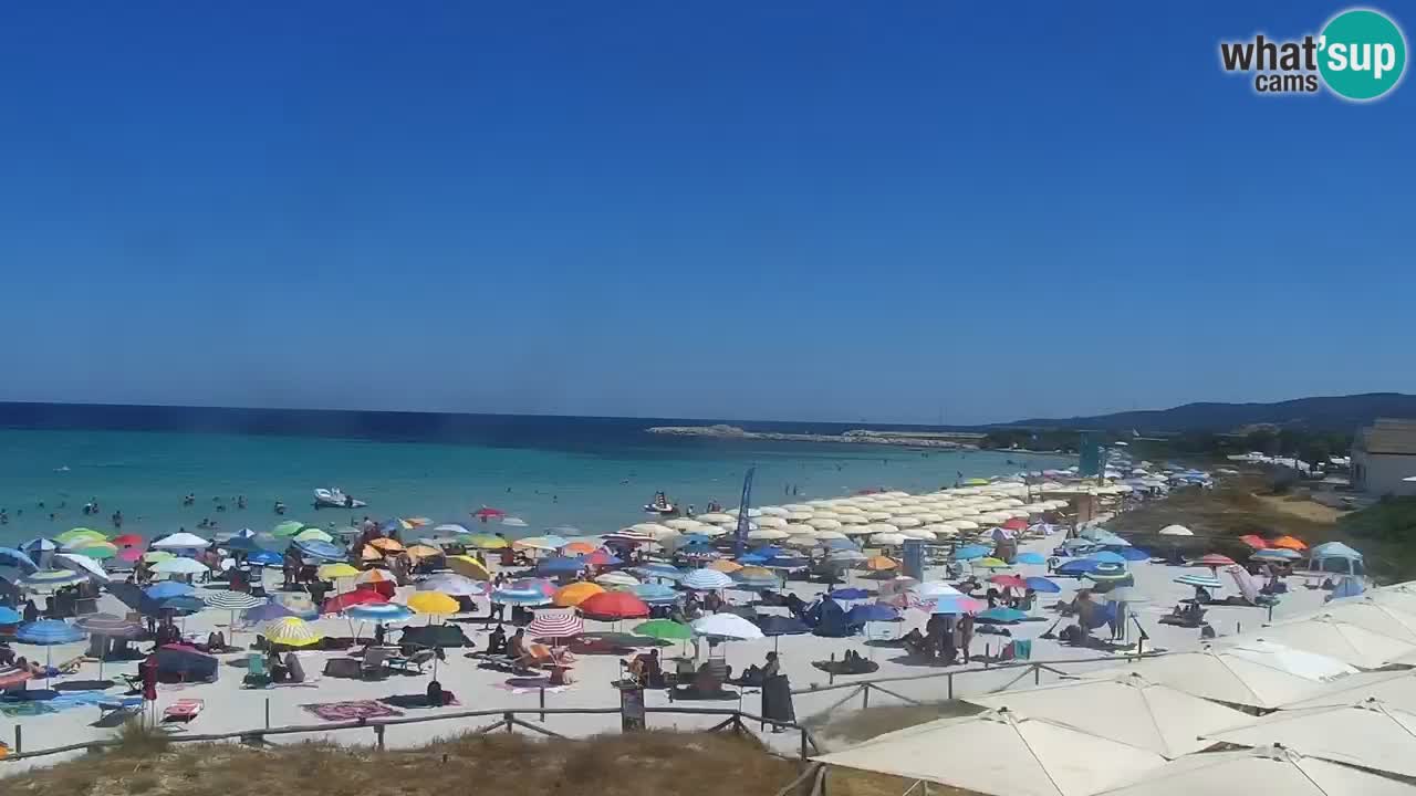Playa de L’Isuledda – San Teodoro (OT) – Cerdeña
