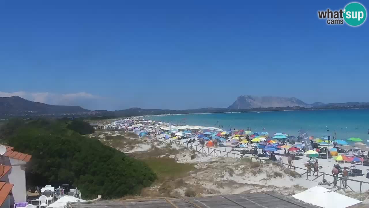 Beach de L’Isuledda – San Teodoro (OT) – Sardinia