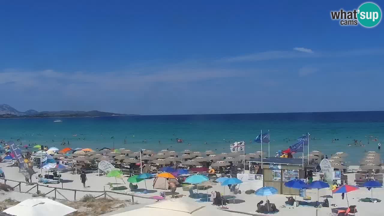 Beach de L’Isuledda – San Teodoro (OT) – Sardinia