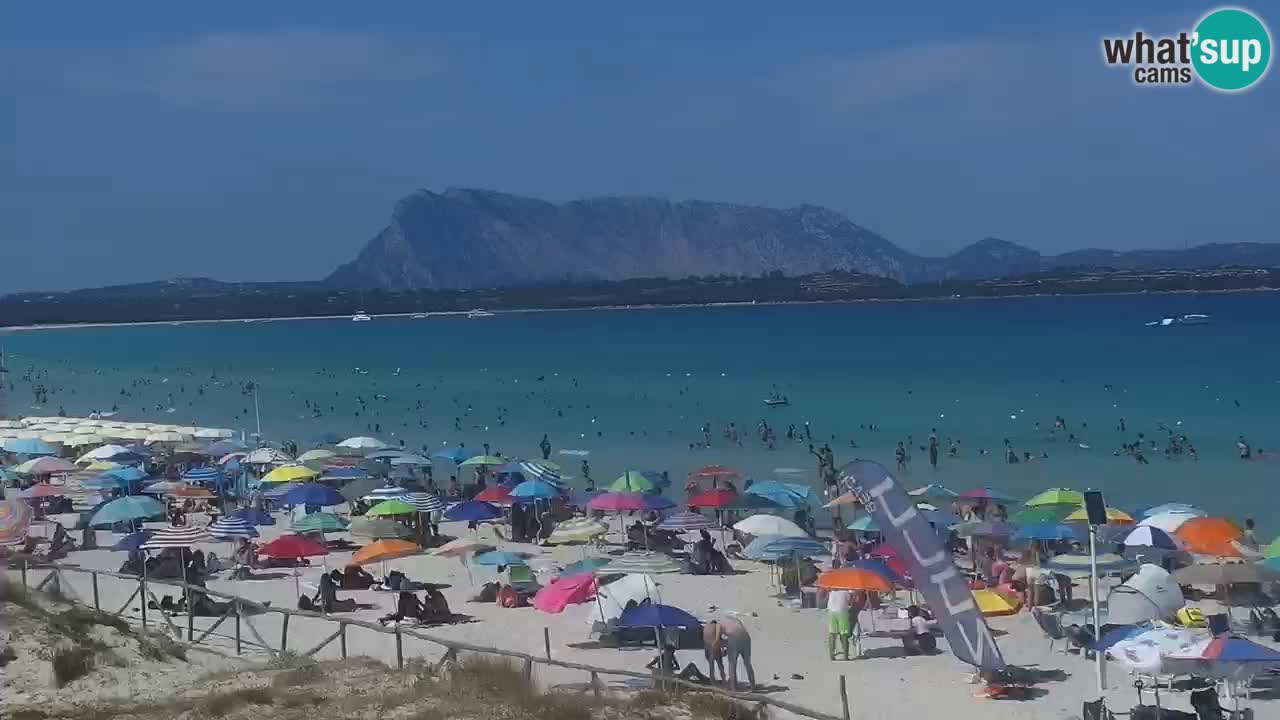 Webcam La Cinta spiaggia di San Teodoro (OT) – Sardegna